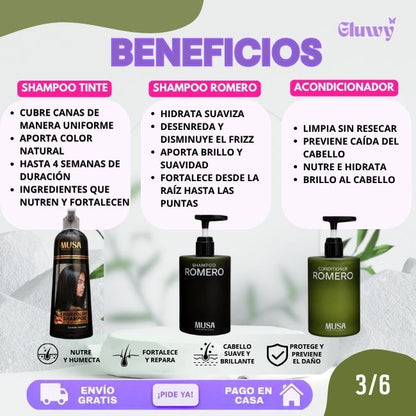 TRIO ANTICANAS+ANTICAÍIDA+ANTICASPA (SHAMPOO TINTE 400 ML + SHAMPOO ROMERO 500 ML + ACONDICIONADOR 500 ML)