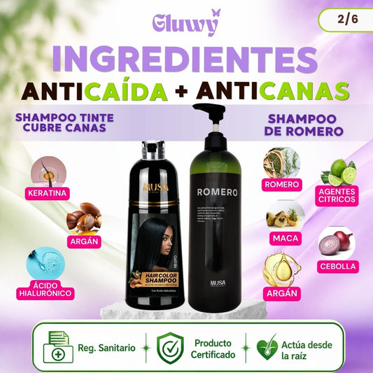 COMBO MUSA ANTICANAS + ANTICAÍDA (SHAMPOO TINTE CUBRE CANAS 400 ML + SHAMPOO ROMERO 1 LITRO)