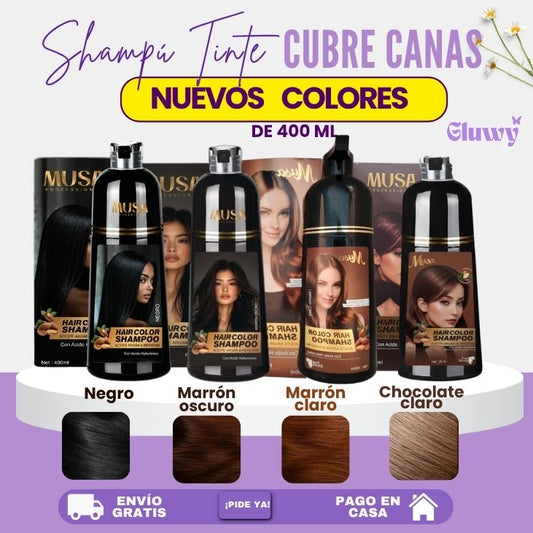 SHAMPOO TINTE CUBRE CANAS (400 ML )