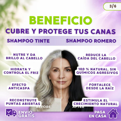 COMBO MUSA ANTICANAS + ANTICAÍDA (SHAMPOO TINTE CUBRE CANAS 400 ML + SHAMPOO ROMERO 1 LITRO)